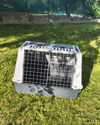 Gabbia per cani 🐶