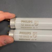Neon Philips TLD 33 18w 640