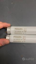 Neon Philips TLD 33 18w 640