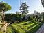 Immagine 16