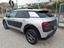 Immagine 5