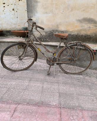 Bicicletta Radius