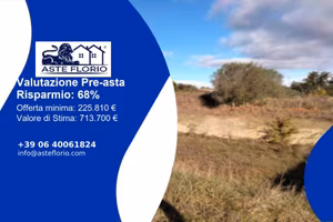 Immobile in asta di 13507 m² a Bracciano