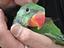 Immagine 2