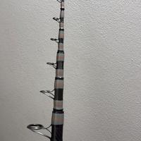 canna da pesca storioni