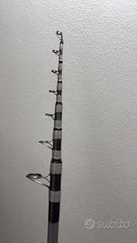 canna da pesca storioni