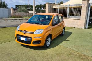 Fiat Panda 1.2 benz. 70 cv 2020 NEOPATENTATI