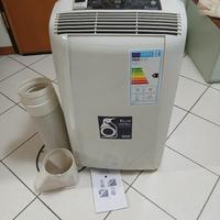 condizionatore pinguino delonghi