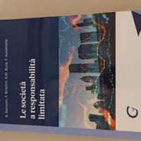 Le società a responsabilità limitata – Giappichell