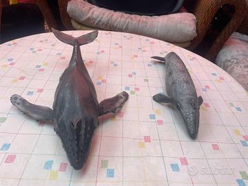 Animali città del sole