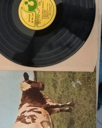 LP in vinile Pink Floyd  ''Atom Heart Mother. ''