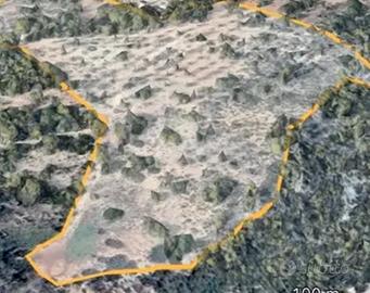 Terreno con ulivi e carrubo