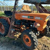 Trattore fiat 250dt
