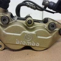 Pinza freno Brembo oro Ducati Monster 750 600