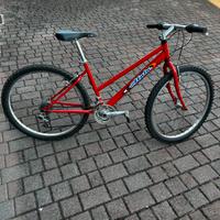 Bici mtb Atala