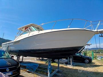 Pursuit 3000 Express Diesel Valutiamo Permuta