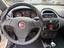 Immagine 12
