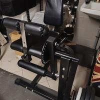 Leg extension leg curl zorrosport