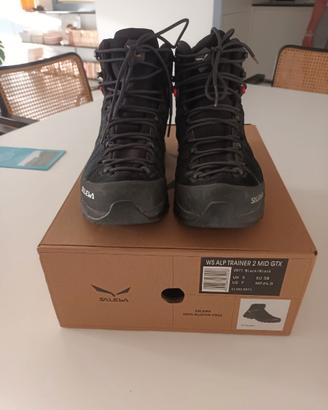 Salewa alp trainer mid