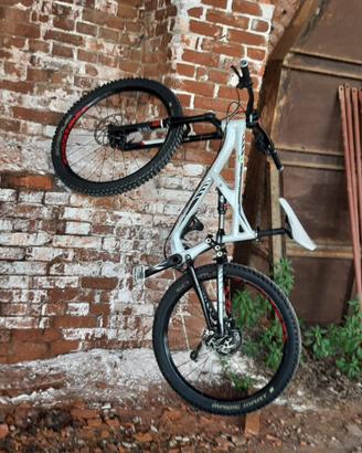 Bici Specialized Enduro
