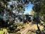 Immagine 26