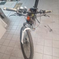 Bici elettrica Torpado