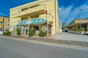 NEGOZIO A GOLFO ARANCI