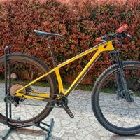 Scott Scale RC Word Cup tg S