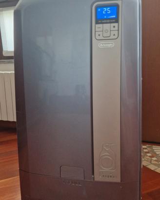 Climatizzatore Pinguino De Longhi