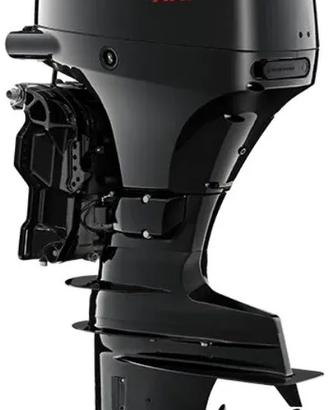 MOTORE  SUZUKI DF 40 ARI