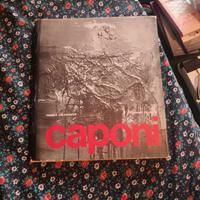 Libro su Caponi Alvaro — Franca Calzavacca