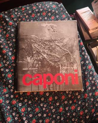 Libro su Caponi Alvaro — Franca Calzavacca