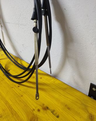 Evinrude\Johnson\OMC\Bombardier