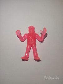 Exogini - Testa Piatta olandese