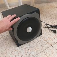 Subwoofer trust Tyan