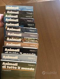 Animali di tutto il mondo