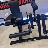 LEG EXTENSION/CURL LIGHT