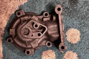 carterino polini speed engine ciao o simili