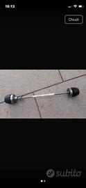 para forcella triumph trident 660 