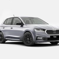 Skoda Fabia Young Edition 1,0 MPI 59 kW (80 CV) 5