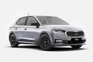 Skoda Fabia Young Edition 1,0 MPI 59 kW (80 CV) 5