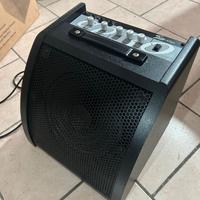 Cassa monitor FAME AP30
