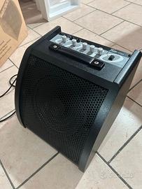 Cassa monitor FAME AP30