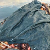 Rete da pesca circuizione