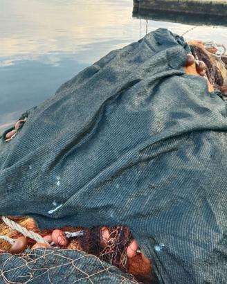 Rete da pesca circuizione