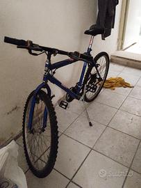 biciclette montan bike e normale.