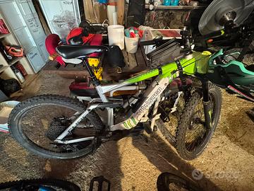 Ebike
