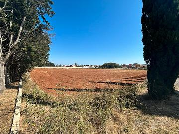 Terreno agricolo non edificabile