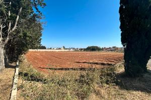 Terreno agricolo non edificabile