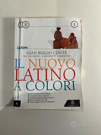 Il nuovo Latino a colori Lezioni 1 Conte